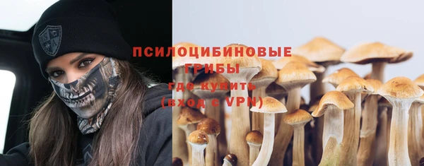 ГАЛЛЮЦИНОГЕННЫЕ ГРИБЫ Богородск
