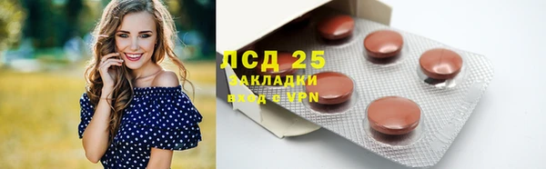 ГАЛЛЮЦИНОГЕННЫЕ ГРИБЫ Богородск