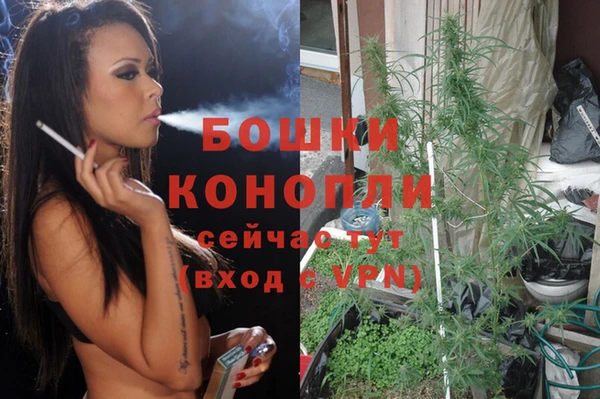 ГАЛЛЮЦИНОГЕННЫЕ ГРИБЫ Богородск