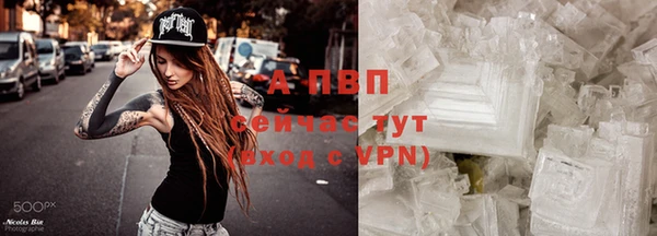 ГАЛЛЮЦИНОГЕННЫЕ ГРИБЫ Богородск